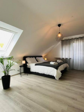 Moderne Wohnung mit Balkon und Blick auf Koblenz